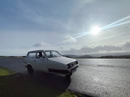 Image result for Racing Yellow 1994 Reliant