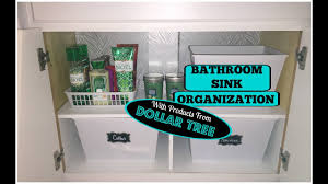 bathroom under sink organization