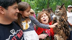 Lüneburger Heide: Eine Falknerin behauptet sich allein