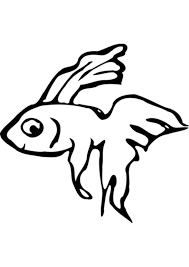 Get betta fish coloring pages for free in hd resolution. 45 Fish Coloring Pages Coloring Pages