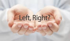 They concluded that the asymmetrical nature of the spinal cord could be down to something called epigenetics, or how organisms are affected by changes in their gene expression rather than in the genes themselves. The Most Unique Facts About Left Handed People Horizontimes