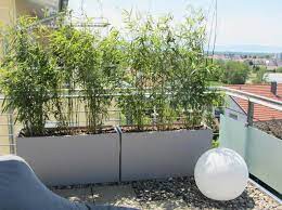 Diese 11 pflanzen wachsen hoch und eignen sich dabei besonders gut als sichtschutz für garten, balkon und terasse. Bambus Als Sichtschutz Fur Terrasse Und Balkon Bambuswald