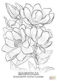 Limited Picture Of Flower To Color Mississippi State Coloring Page Pages Flower Coloring Pages Coloring Pages Flower Sketches