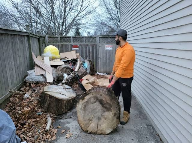 The Basics of Removing Branches, Leaves, and Lawn Materials