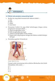 Maybe you would like to learn more about one of these? Soal Ipa Kelas 8 Semester 2 Dan Jawaban Sistem Ekresi Dunia Belajar