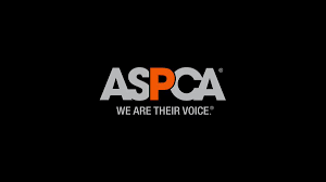 @ASPCA's video Tweet