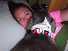 HA! Blake Shelton and Luke Bryan are ROASTING each other