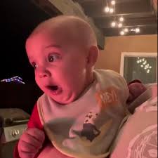 Funny firework reactions