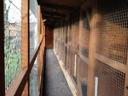 We have used the kennels to board. Creature Comforts Cattery Affordable Cat Boarding Prices In Hounslow