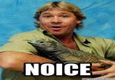 Updated daily, for more funny memes check our homepage. Noice Guy Noice Know Your Meme