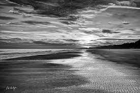 Sunset black and white clipart. Black And White Beach Photograph By Phill Doherty