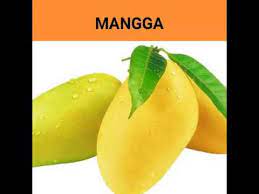 Panduan pengeksportan produk pertanian makanan proses. Mari Mengenal Buah Buahan Tempatan Youtube