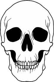 White Skull Svg File Skeleton Face Svg Gothic Skull Black Etsy Skeleton Art Drawing Skeleton Face Skull Sketch