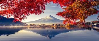 Don T Miss How To Choose The Best Mt Fuji Tour From Tokyo Updated June 2020