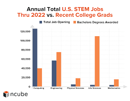 Software Developer Shortage In The World Ncube