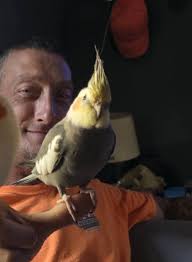 Farm Fresh Duck Eggs for Sale in DeSoto, Missouri