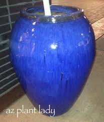 Get free shipping on qualified resin, outdoor, extra large plant pots or buy online pick up in store today in the outdoors department. Got Large Pots Use Plastic Containers To Fill Extra Space Birds And Blooms