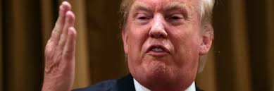 Image result for trump you're fired pics