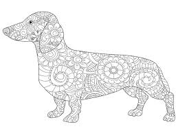 Antistress coloring books for adults are turning into mainstream, and it seems like they're going to last for quite a bit. Dachshund Coloring Book For Adults Raster Stock Illustration Illustration Of Long Ears 101651509