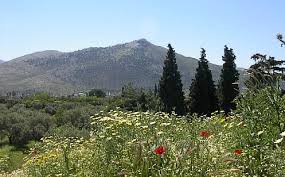 Η μεζονέτα βρίσκεται σε συγκρότημα, έχει ανεμπόδιστη θέα στο βουνό. Mara8wnas Bikipaideia