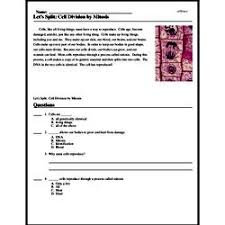 Mitosis and meiosis worksheet answers key. Let S Split Cell Division By Mitosis Reading Comprehension Worksheet Edhelper