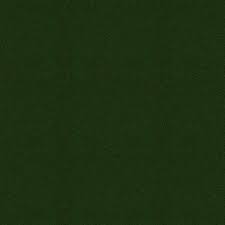 Image result for Jade Green 1962 Motor Home