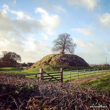 This Large Artificial Mound Near Clonard Co Meath Is The Remains Of A 12th Century Anglo Norman Motte Castle The Summi Ancient Ireland Ireland Irish History
