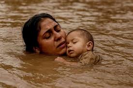 A Mother's Love!❤️❤️