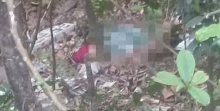 Eksplorasi jalan seram #2 eksplorasi jalan seram karak lama 2019 pada waktu malam jam 1 pagi bahagian 2. Racers Discover Decomposed Body Of Woman In Gombak Ravine Coconuts Kl