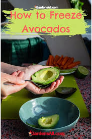 We did not find results for: Can You Freeze Avocados And Still Have Them Taste Good Gardensall