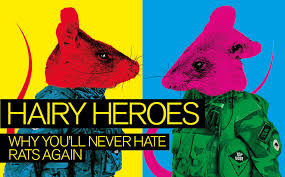 Hairy Heroes Why Youll Never Hate Rats Again