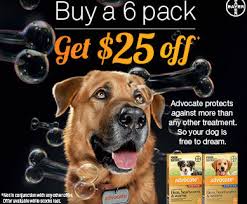 Heartgard is straightforward and more well known. Do You Use Advocate As Part Of Your Pet S Regular Parasite Prevention Treatment Summer Hill Village Vet Vet Clinic Animal Hospital Sydney Ashfield