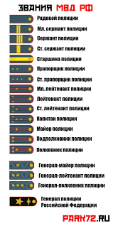 Образованные в 2004 году роспотребнадзор (федеральная служба по надзору в сфере защиты прав потребителей и благополучия человека) и россельхознадзор. Specproekt Park72 Ru Uchimsya Chitat Pogony Tyumenskih Chinovnikov Kto Nastoyashij General A Kto Ryazhenyj