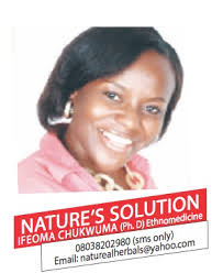 Image result for Chasmanthera dependens