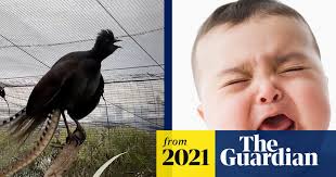 Stuart Parsons (@walkingbats)