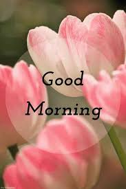 We did not find results for: Best Good Morning Hd Images Wishes Pictures And Greetings
