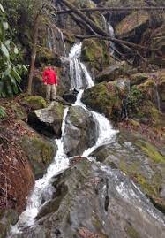 Hours may change under current circumstances 1000 Drips Bild Von Place Of A Thousand Drips Great Smoky Mountains Nationalpark Tripadvisor