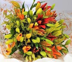We always deliver flowers by hand using our own same day flower delivery fleet. Homeland Florists Asiatic Lily Fresh Flowers Delivered Send A Luxury Bouquet With Free Uk Next Day Delivery Gift Wrapped Handwritten Card Yellow Orange Buy Online In Mongolia At Mongolia Desertcart Com Productid
