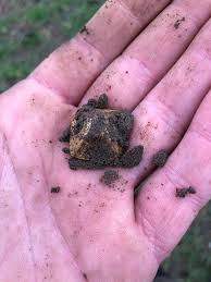 Suffolk: Anglo-Saxon gold pyramid found near Bury St Edmunds