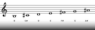 Learn Chords in B Minor: Functions, Tips, and Examples for Beginners |  Musiversal