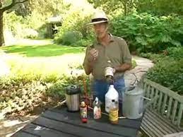 Vinegar 101 Dirt Doctor Howard Garrett Youtube Recipe For Natural Herbicide 1 Gal 10 Vinegar Pickling Vinegar 1 Oz Natural Herbicide Herbicide Dirt