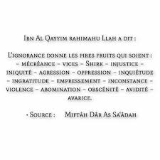 Ibn L Qayyim Fruits De L Ignorance Coran Francais Rappel Islam Ignorance