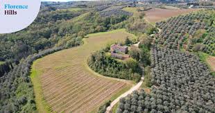 Barberino Tavarnelle (FI), paesaggio e ospitalit&agrave; nel restauro ...