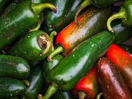 Image result for Capsicum annuum