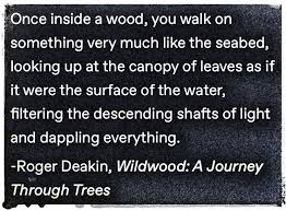 Roger Deakin Wildwood Nature Quotes Roger Deakins Green Man