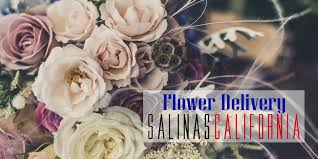 We did not find results for: The 9 Best Options For Flower Delivery In Salinas California 2021