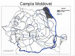 Institutul geologic al romaniei a realizat o harta a substantelor minerale in anul 1984, unde sunt amsterdam unul dintre cele mai minunate orase din europa ofera turistilor sai o mare varietate de hoteluri care au propriul cazinou. Unitatile Si Subunitatile De Relief Ale Romaniei Youtube