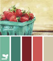Vintage Cane Corso Usa Fitted Scoop Neck Long Sleeve Color Schemes Design Seeds Color Pallets