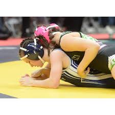 The Sandusky area had six wrestlers in Sunday's state finals in Columbus.  Edison's Abe Hermes, Edison's Max Hermes and Monroeville's Ashton Homan  became state champions. Sandusky's Nikera Johnson, Port Clinton's Cadence  Wallace