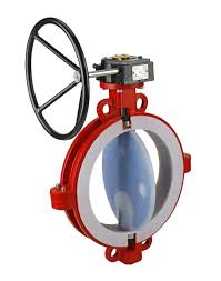 PTFE Lined Butterfly Valves at ₹ 3000/piece | Butterfly ...